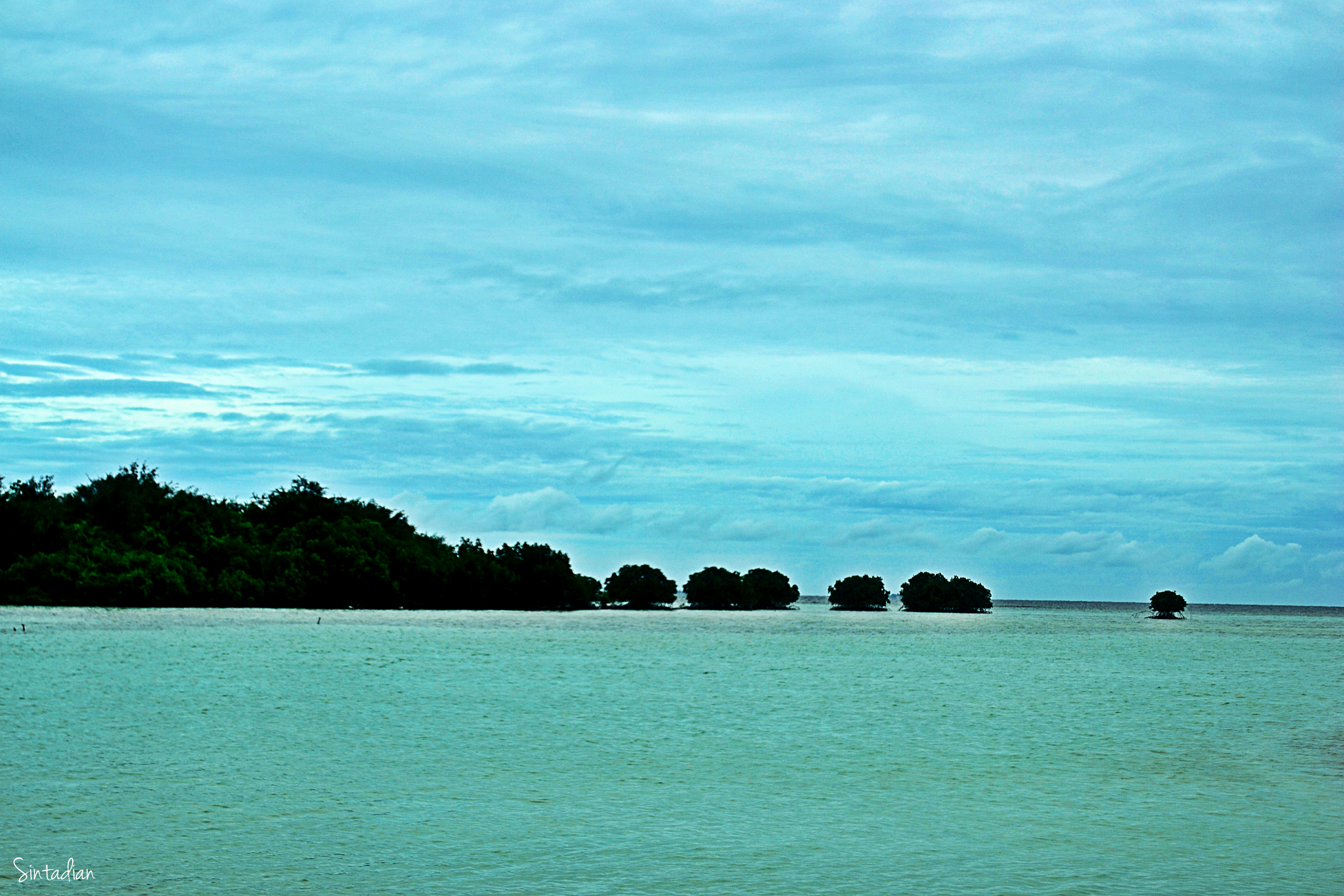 Pulau pari island